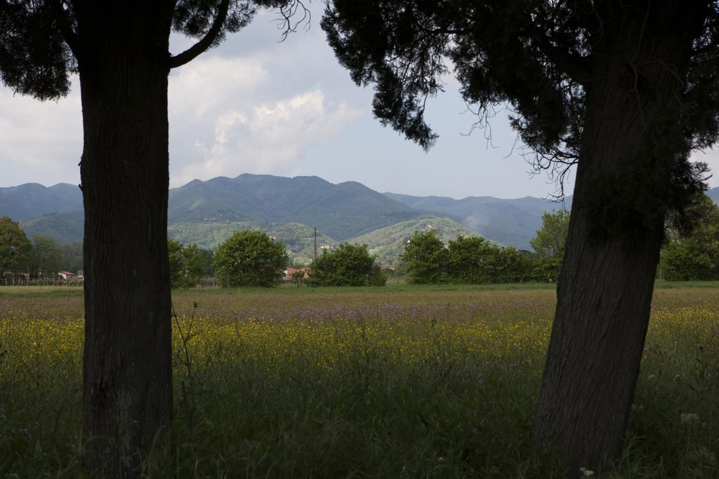 Agriturismo La Topaia Борго-Сан-Лоренцо Экстерьер фото