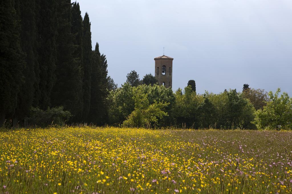 Agriturismo La Topaia Борго-Сан-Лоренцо Экстерьер фото