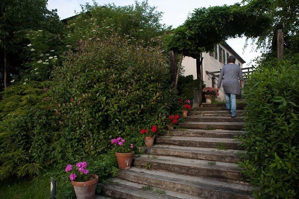 Agriturismo La Topaia Борго-Сан-Лоренцо Экстерьер фото
