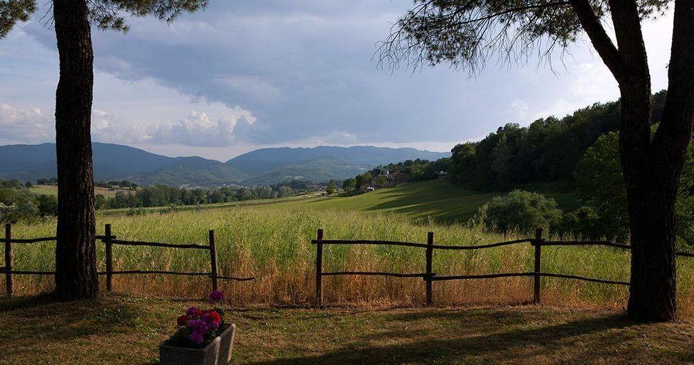 Agriturismo La Topaia Борго-Сан-Лоренцо Экстерьер фото