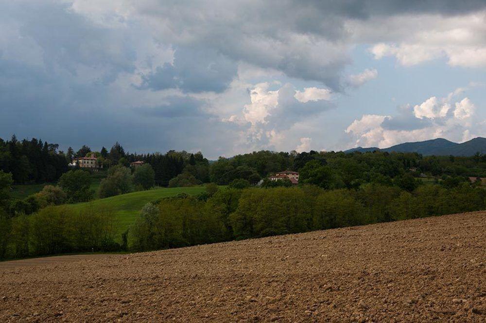 Agriturismo La Topaia Борго-Сан-Лоренцо Экстерьер фото