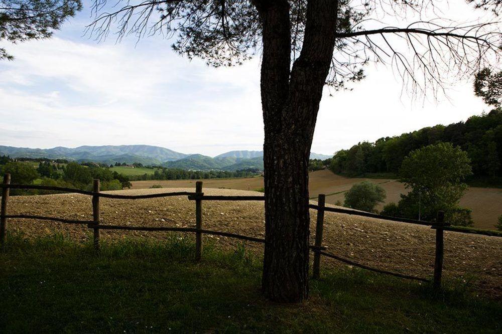 Agriturismo La Topaia Борго-Сан-Лоренцо Экстерьер фото